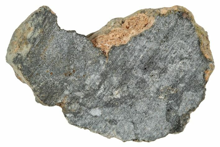 Polished Lunar Meteorite ( g) End Cut Slice - NWA #333139